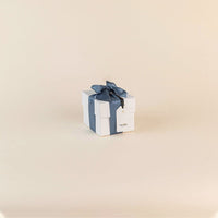 Luxury Metallic Lighter Gift Set