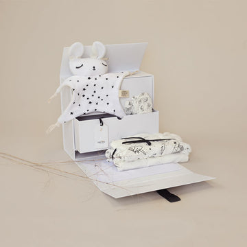 TheBabyBox Pregnancy & Newborn Gift Box