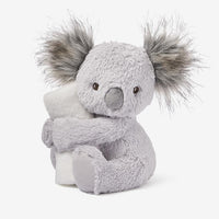 New Baby Plush Teddy & Blanket Gift Box