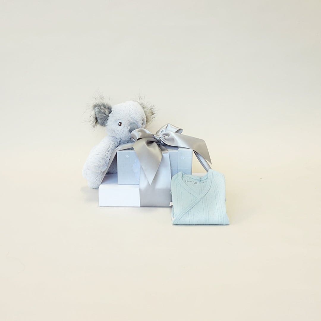 Tiny Luxury Baby Gift Set